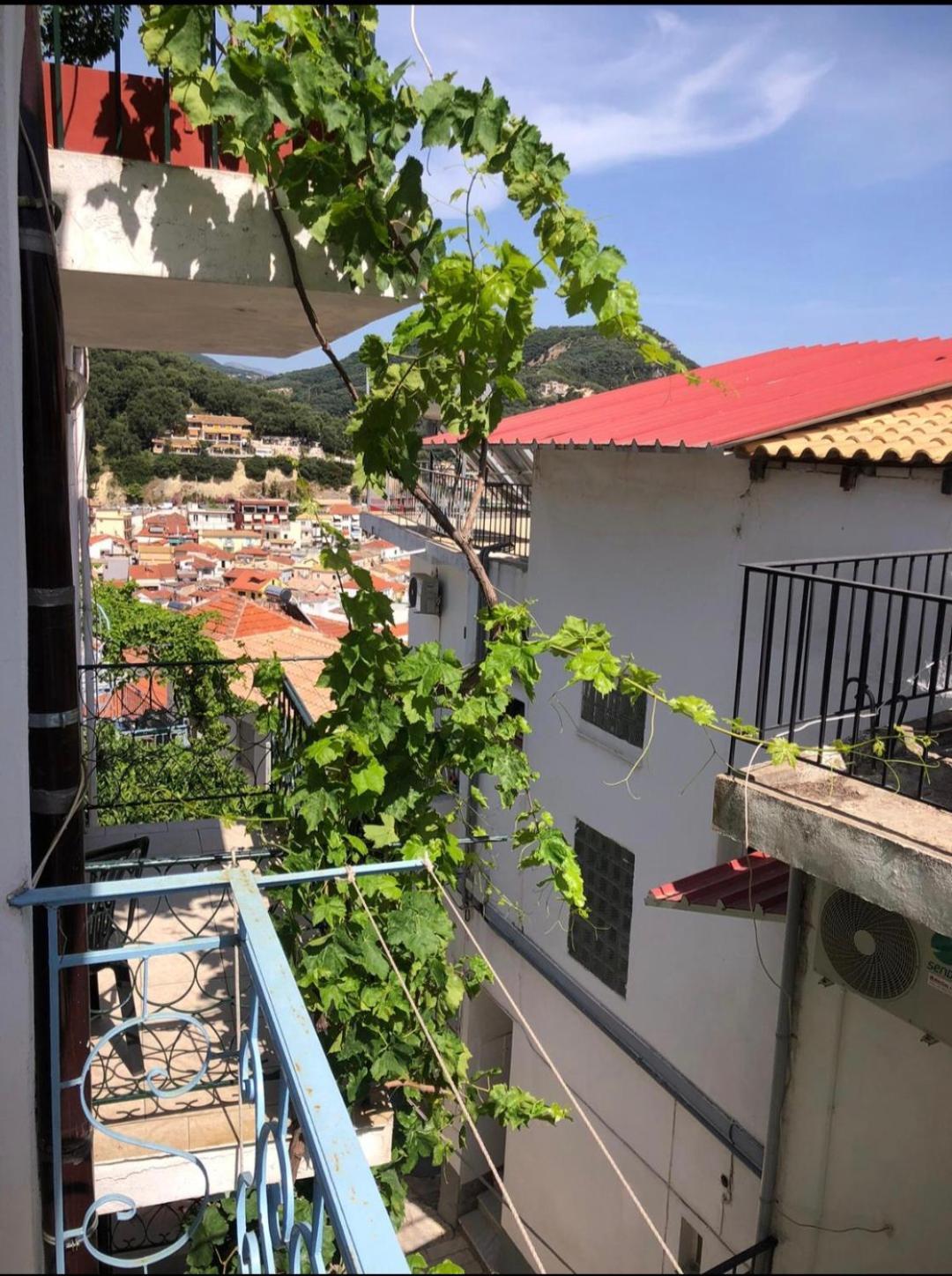 Panos Apartments Parga Ruang foto